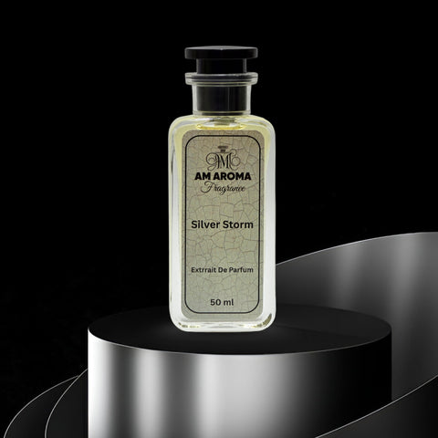 Silver Storm – Inspired by Silver Scent | Long-Lasting Perfume for Men