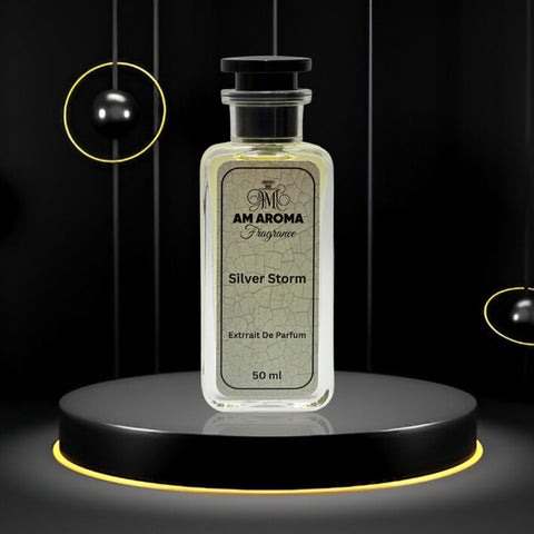 Silver Storm – Inspired by Silver Scent | Long-Lasting Perfume for Men