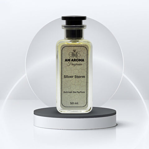 Silver Storm – Inspired by Silver Scent | Long-Lasting Perfume for Men
